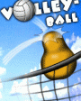 Volleyball v1.2  Windows Mobile 5.0, 6.x for Pocket PC