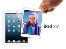  Apple iPad  iPad mini     15 
