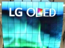      OLED    LG ELECTRONICS