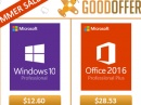 85%   Microsoft Windows 10 Professional   $12   