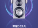 Honor 30  ,    Huawei P40