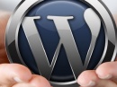    WordPress  -    - 