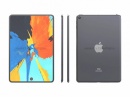   iPhone SE 2021  iPad mini 6   Touch ID