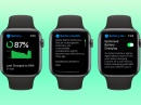  Apple Watch Pro     ,   
