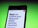 Google  - Bard    