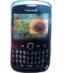   BlackBerry Curve 9300