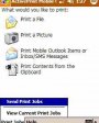 ActivePrint Standard v6.1  Windows Mobile 2003, 2003 SE, 5.0, 6.x for Pocket PC