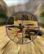 Counterstrike Arena v1.1  Flash