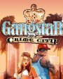 Gangstar:Crime city