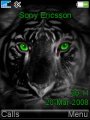 Green Eyed Tiger
