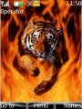 Flaming Tiger