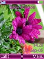 Purple Crans Flower