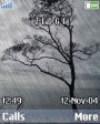 Animated Rain