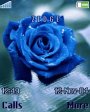 Blue Rose