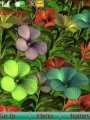 Animated Flowers