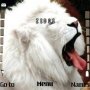 White Lion