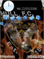 Hull FC Fire