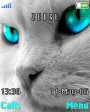 Blue Eyes On A Cat