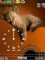 Sleeping Cat Guitar