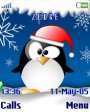 Penguin On Snow