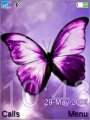 Violet Butterfly