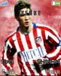 fernando torres