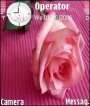 Pink Rose