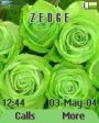 Green Roses