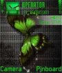 Green Butterfly