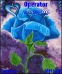 Blue Rose