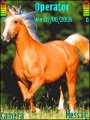 Horse-n95