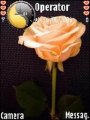 Lovely Rose For N95