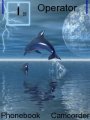 Dolphin Lightning