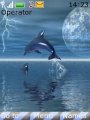 Dolphin In Lightning