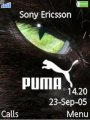 Puma Eye