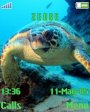 Sea Turtle