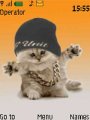 Animated Hip-hop Cat