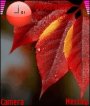 Red Leaf