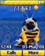 Bee Dog Animated