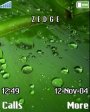 Toxic Green Drops