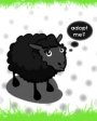 Farmville Blacksheep