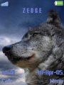 Wolf012009