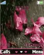 Rain N Roses