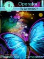 Colorfull Butterfly
