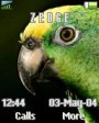 Amazonas Parrot
