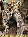 Jaguar Lovers