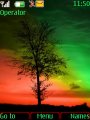 Rainbow And Tree
