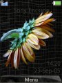 Creative Sunflower
