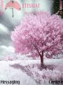 Animated Pink Tree