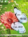 Butterfly Dual Clock
